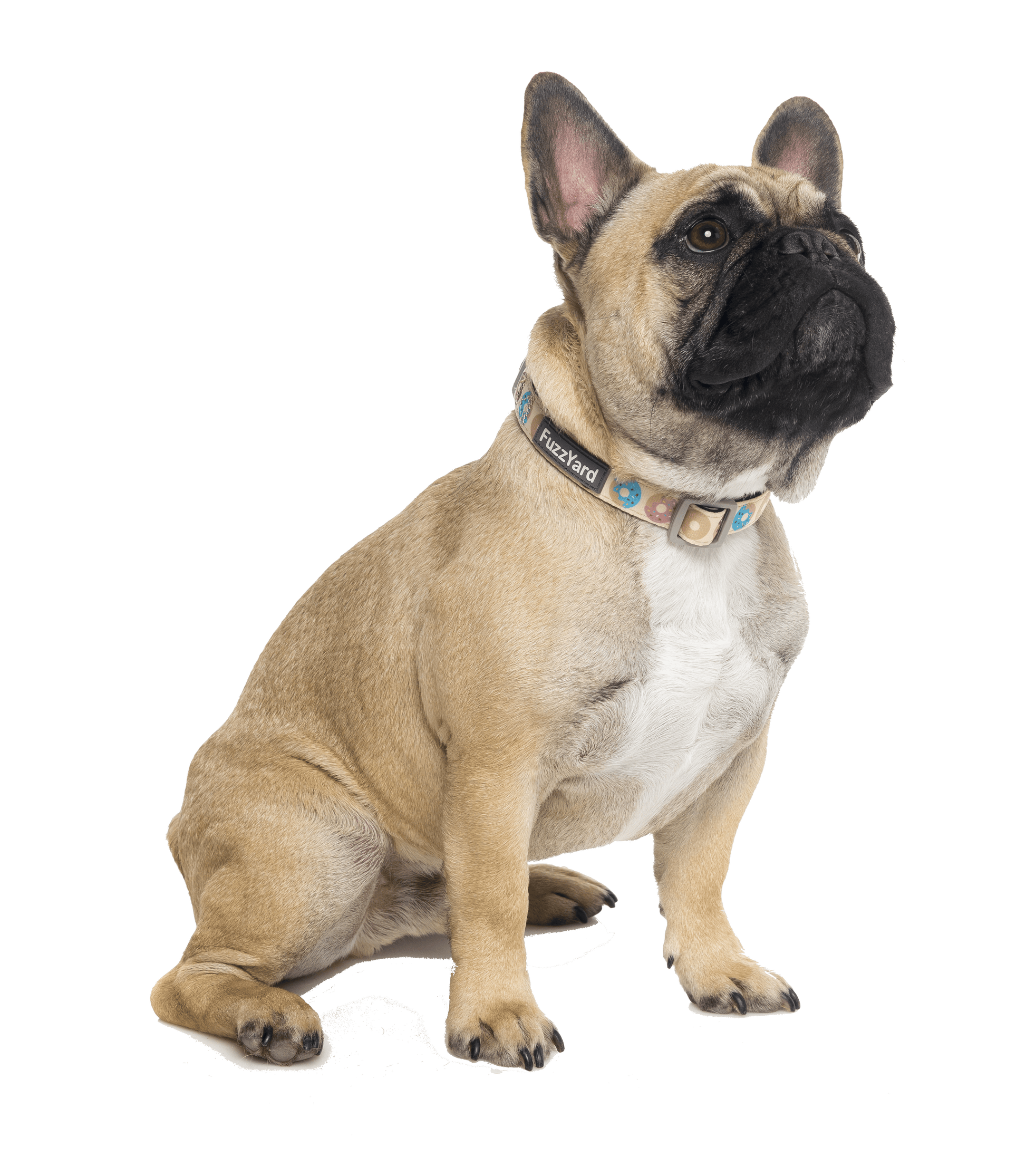 Fuzzyard Dog Collar - Go Nuts - Multiple Sizes - Petzyo