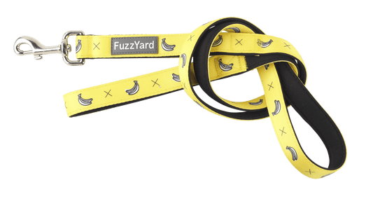 Fuzzyard Dog Lead - Monkey Mania - Multiple Sizes - Petzyo
