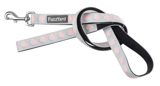 Fuzzyard Dog Lead - Dippin’ - Multiple Sizes - Petzyo