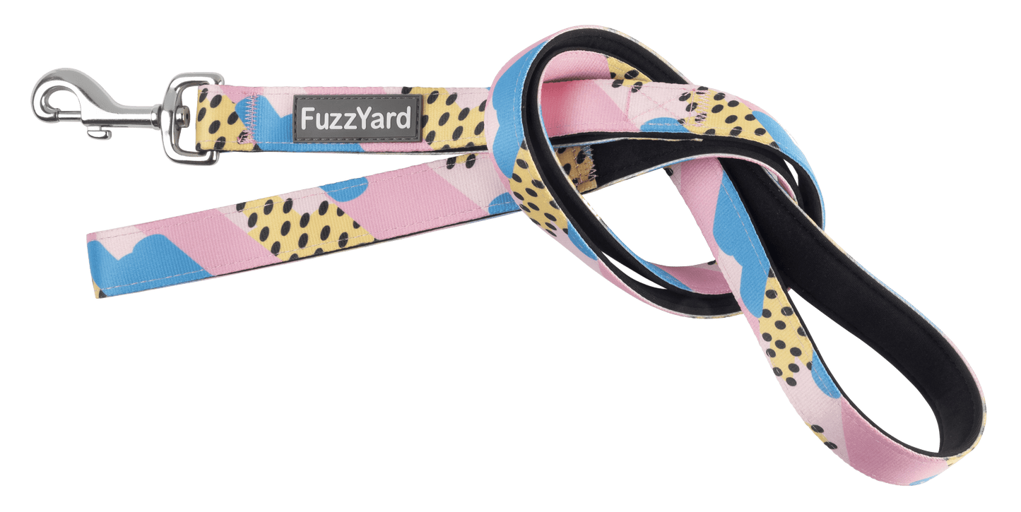 Fuzzyard Dog Lead - Jiggy - Multiple Sizes - Petzyo