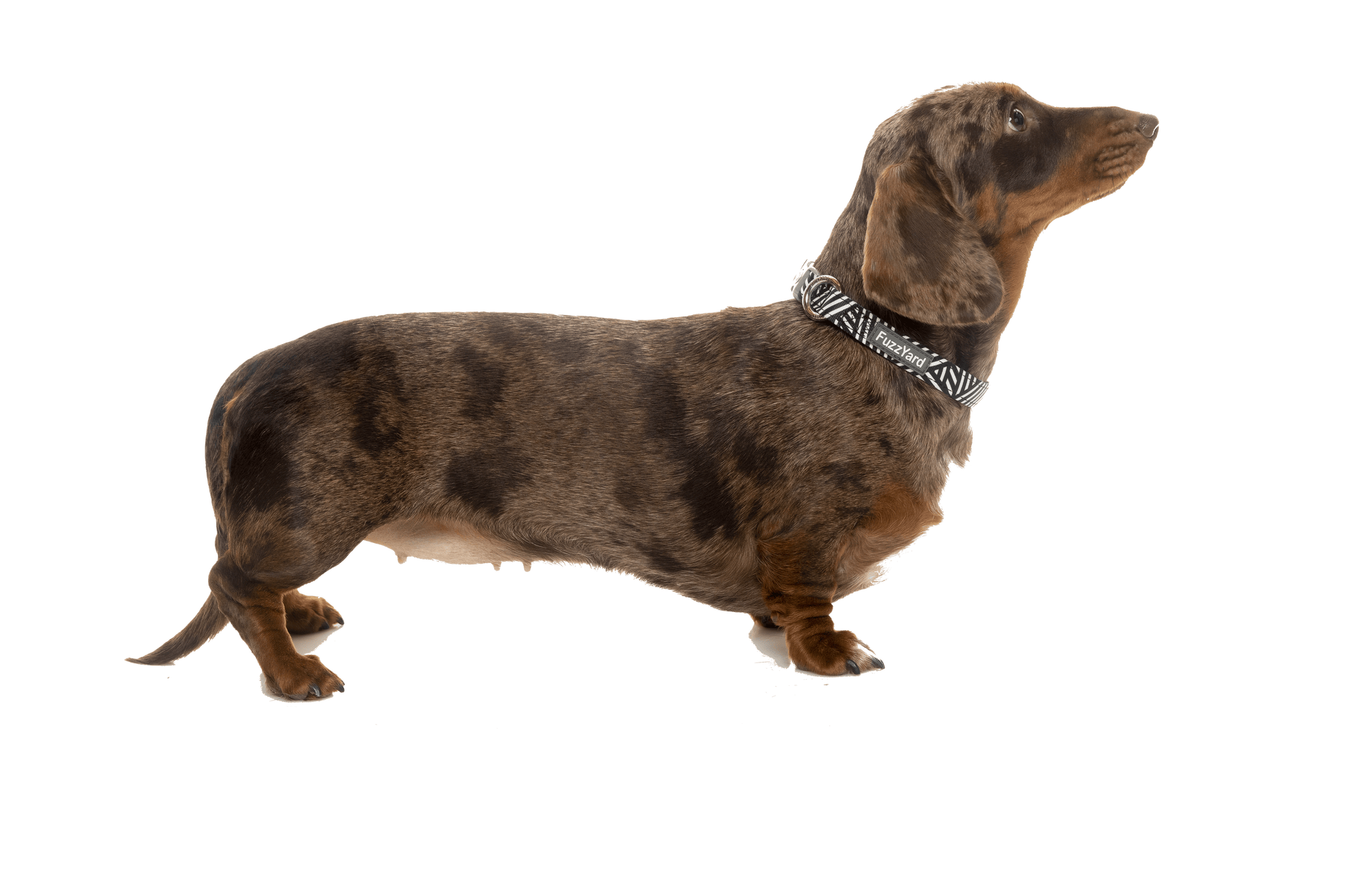 Fuzzyard sizing clearance