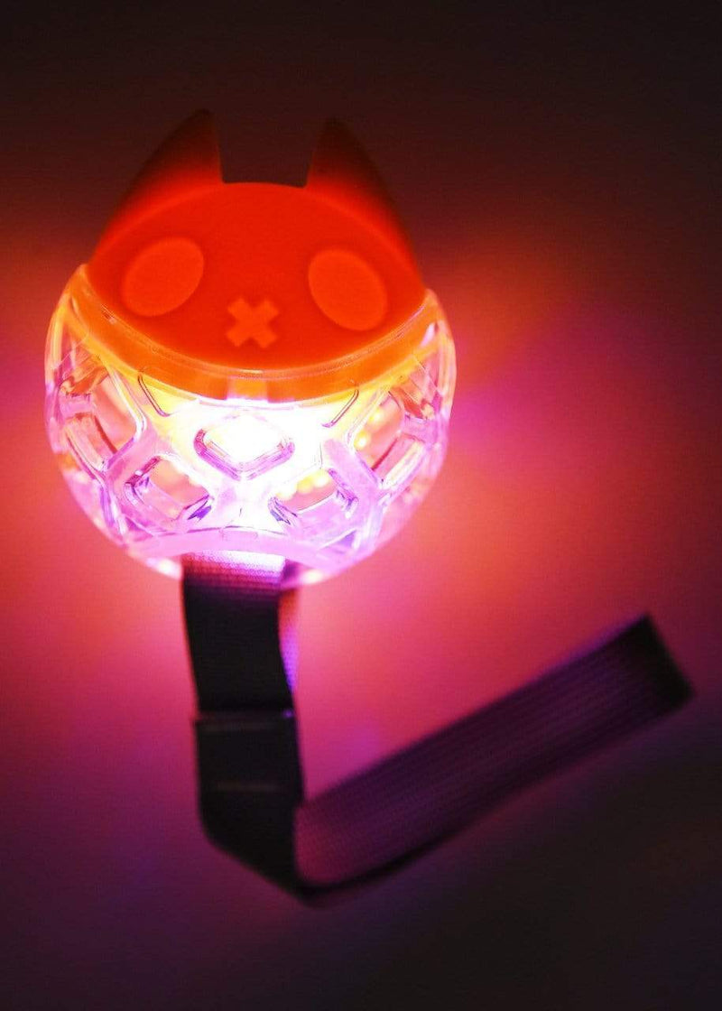 Rufus & Coco Chase Light Up Dog Toy Petzyo