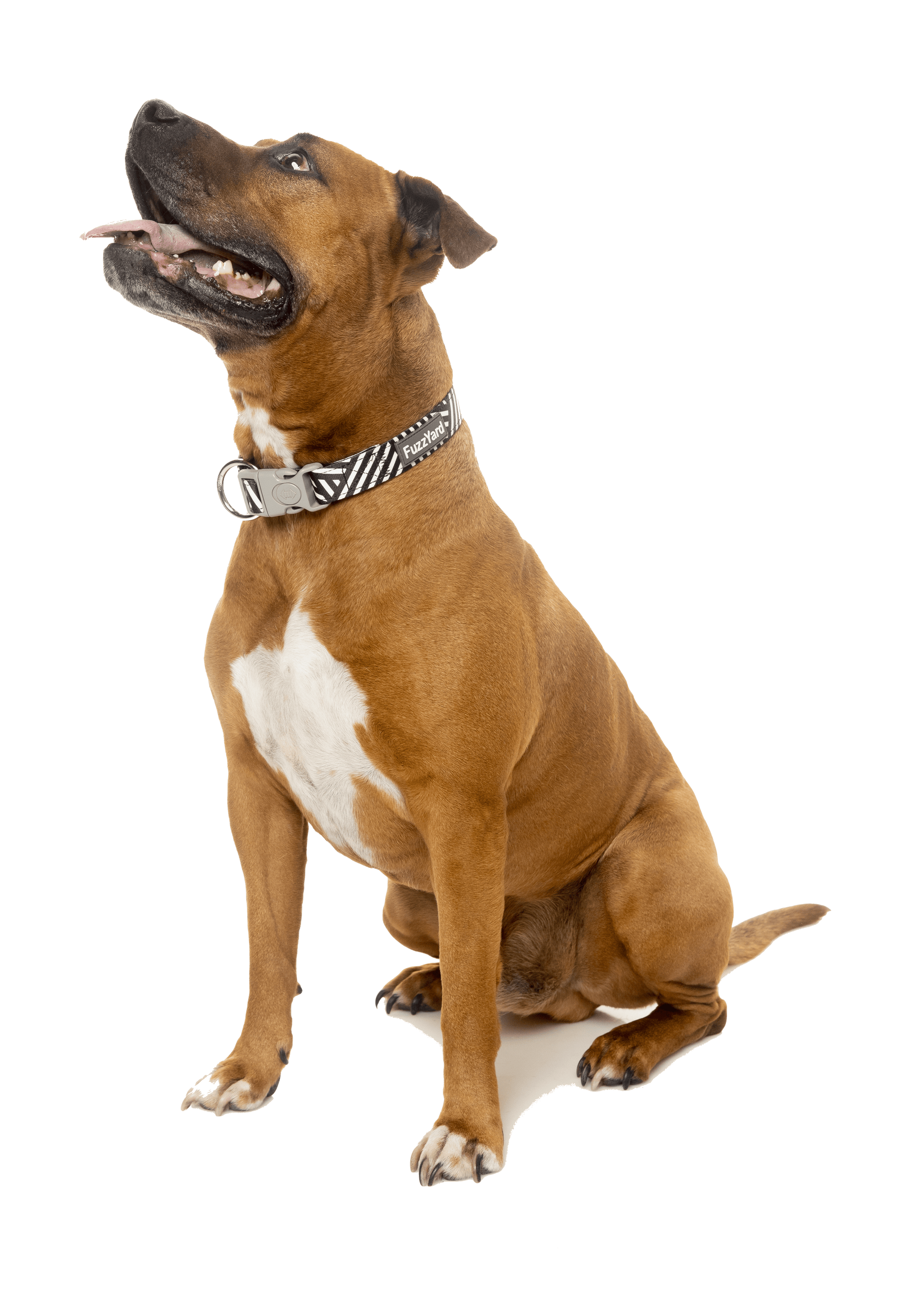 Fuzzyard Dog Collar - Northcote - Multiple Sizes - Petzyo