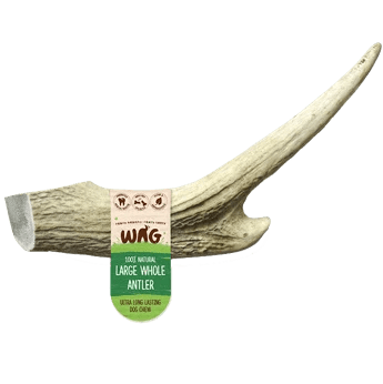 Get Wag - Antler Horn for Dog's Teeth - Multiple Sizes - Petzyo