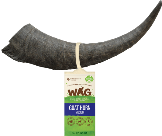 Get Wag - Goat Horn - Multiple Sizes - Petzyo