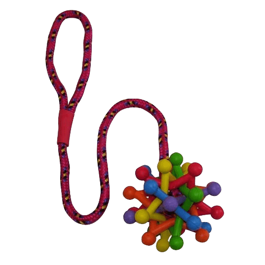 K9 - Atom Ball & Rope - Dog Toy - Petzyo