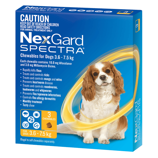 Banana Snack Bars For Dogs Allergic photo
