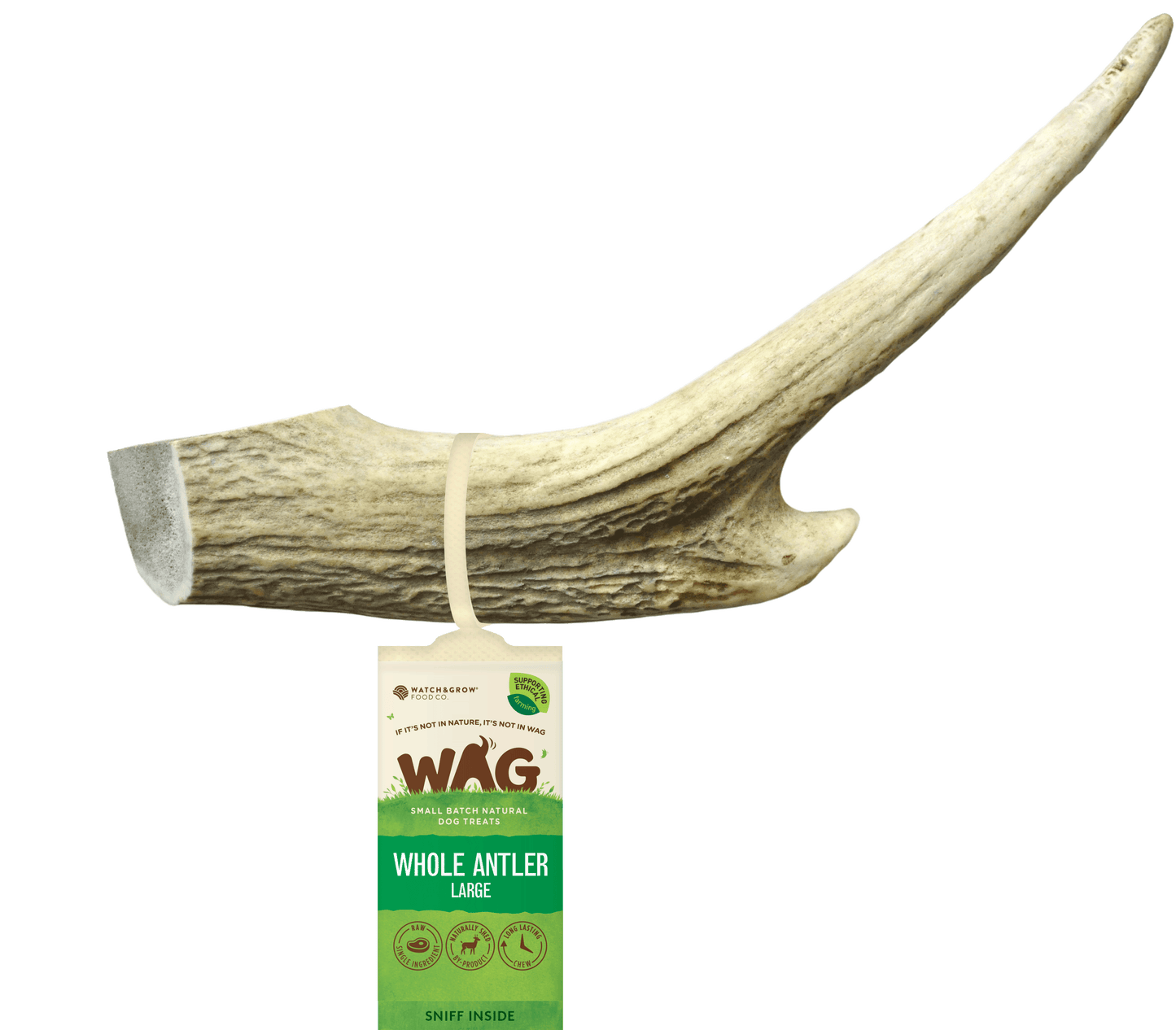 Get Wag - Antler Horn for Dog's Teeth - Multiple Sizes - Petzyo