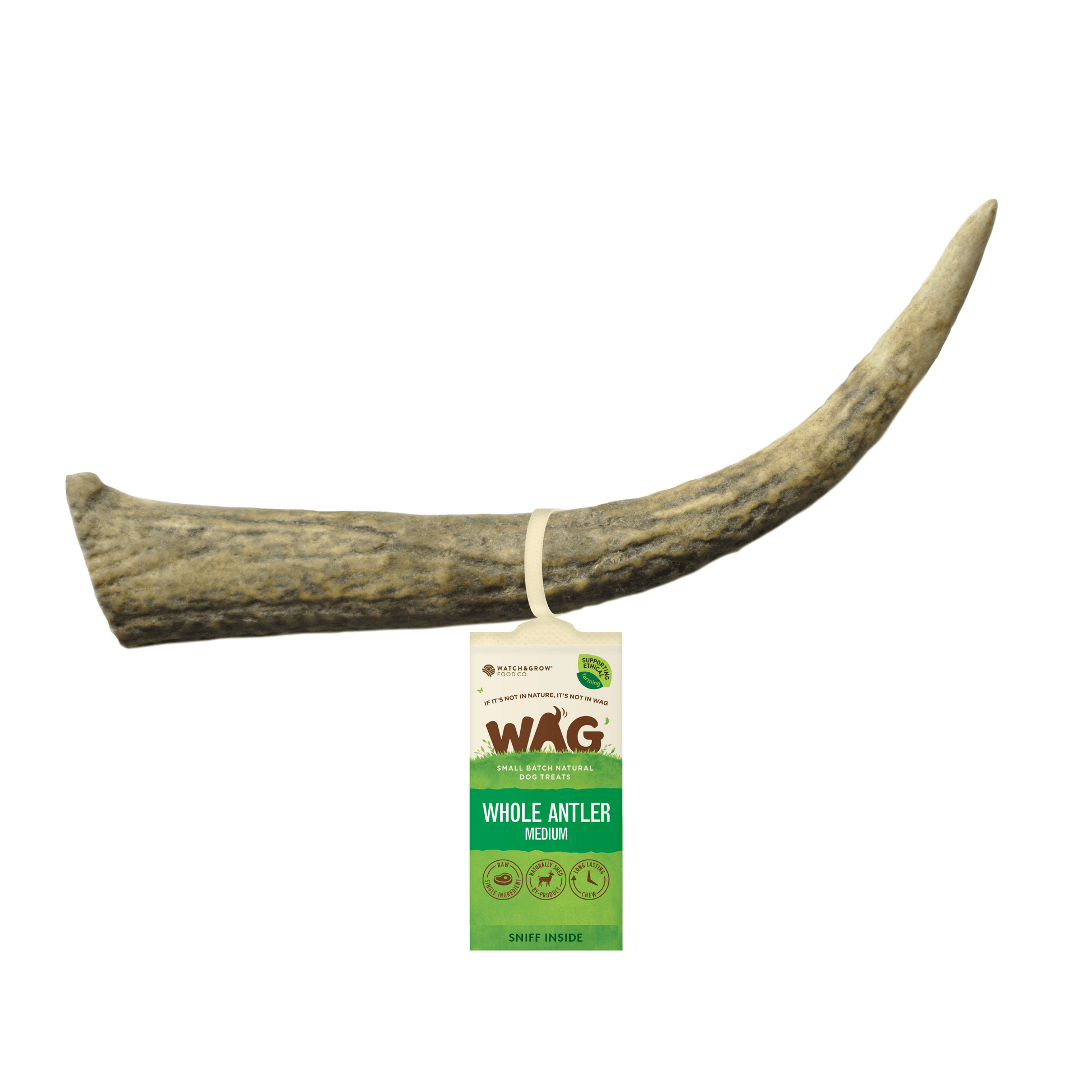 Get Wag - Antler Horn for Dog's Teeth - Multiple Sizes - Petzyo