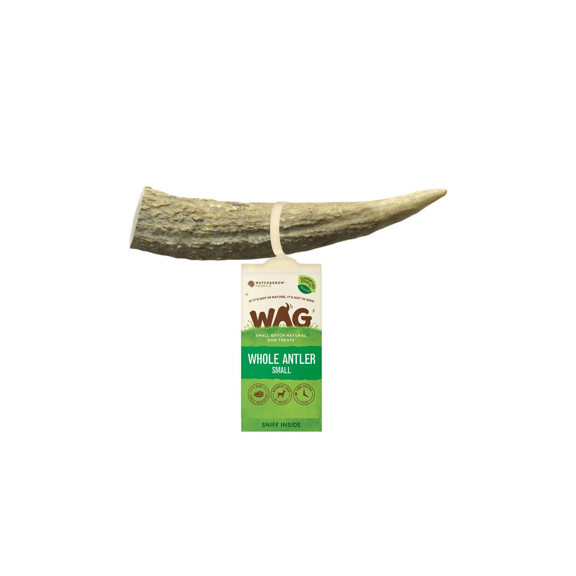 Get Wag - Antler Horn for Dog's Teeth - Multiple Sizes - Petzyo